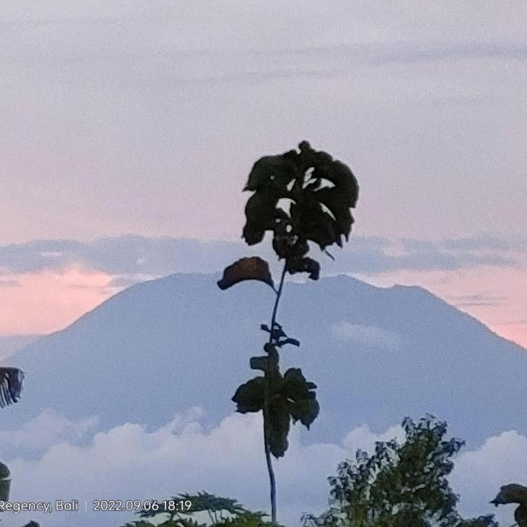 Villa Ume Tenang Nusa Penida Luaran gambar